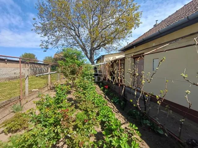 Eladó ház Felsőszentiván 110 nm