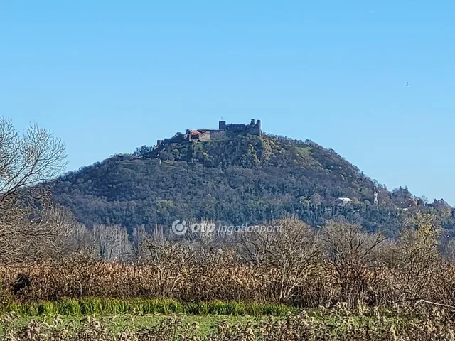 Eladó mezőgazdasági ingatlan Balatonederics 228255 nm