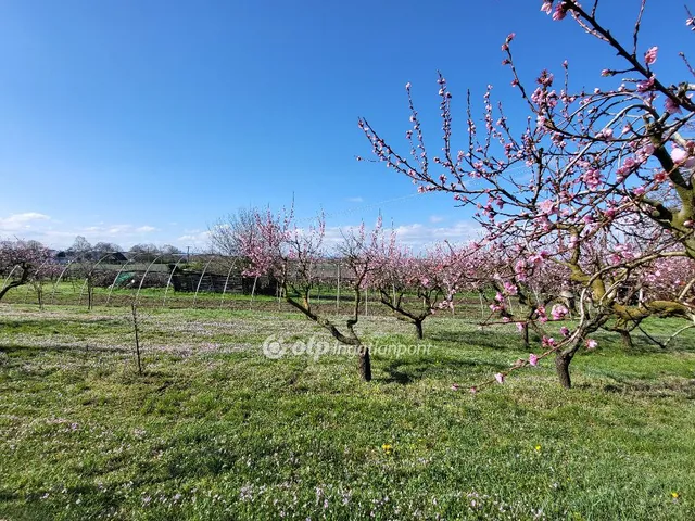 Eladó telek Siófok, Szabadifürdő 939 nm
