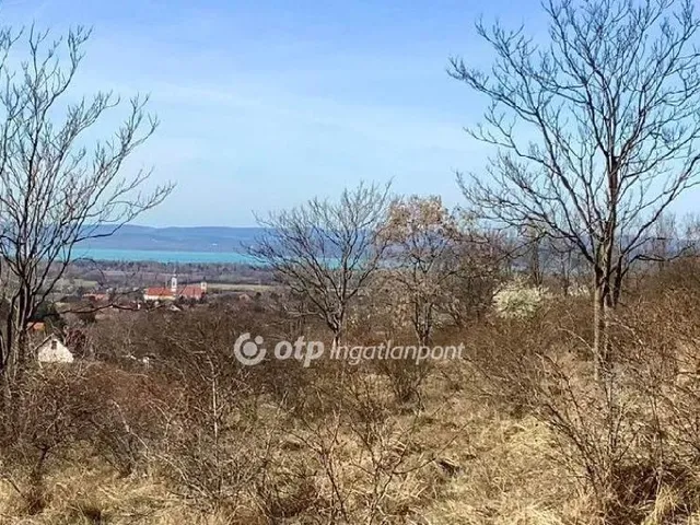 Eladó telek Kőröshegy 2991 nm