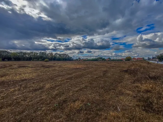 Eladó telek Örkény 133025 nm