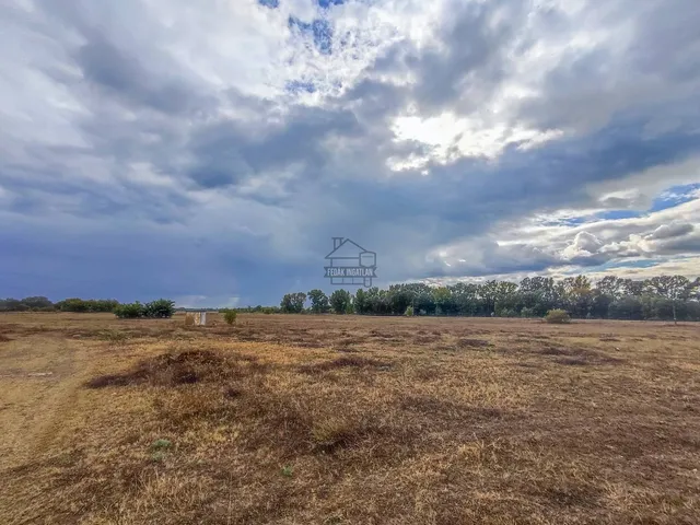 Eladó telek Örkény 133025 nm