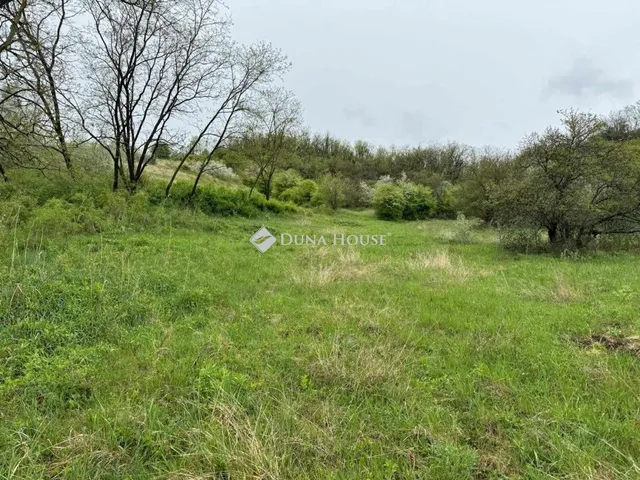 Eladó telek Tinnye 63380 nm