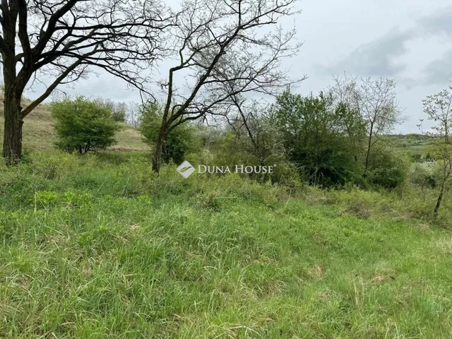 Eladó telek Tinnye, Nincs utca 63380 nm
