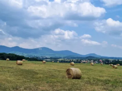 Eladó telek Diósjenő 1041 nm