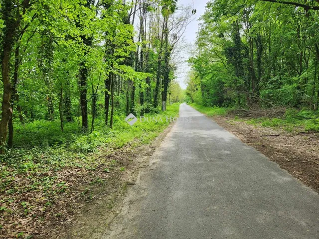 Eladó telek Kadarkút 1605 nm
