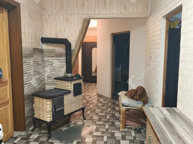 Eladó ház Kunsziget 91 nm