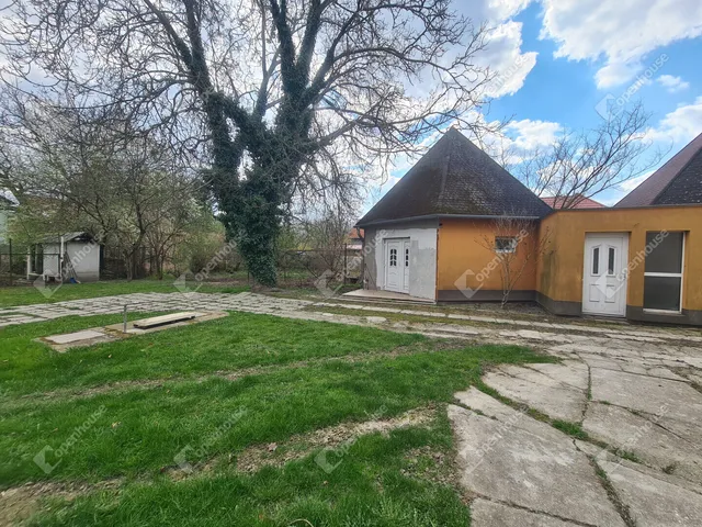 Kiadó ház Dunaszeg 165 nm