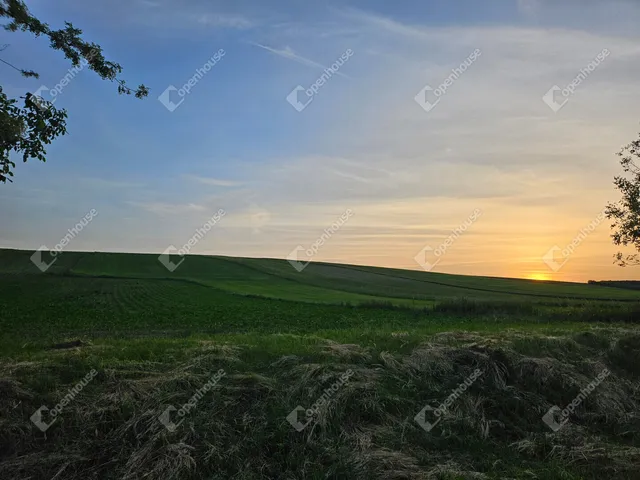 Eladó telek Bakonypéterd 734 nm