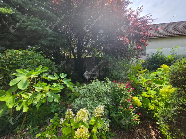 Eladó ház Győr, Szabadhegy 180 nm