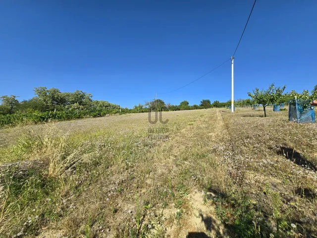 Eladó telek Tab 1838 nm