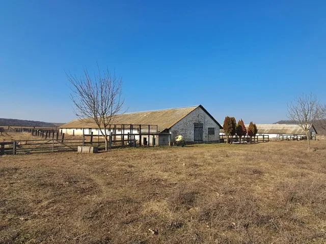 Eladó mezőgazdasági ingatlan Dorogháza, Dorog puszta 58600 nm