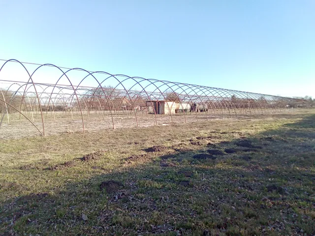 Eladó mezőgazdasági ingatlan Szentes 5129 nm