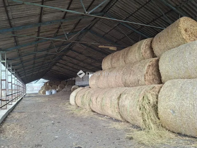 Eladó mezőgazdasági ingatlan Szegvár 120 nm