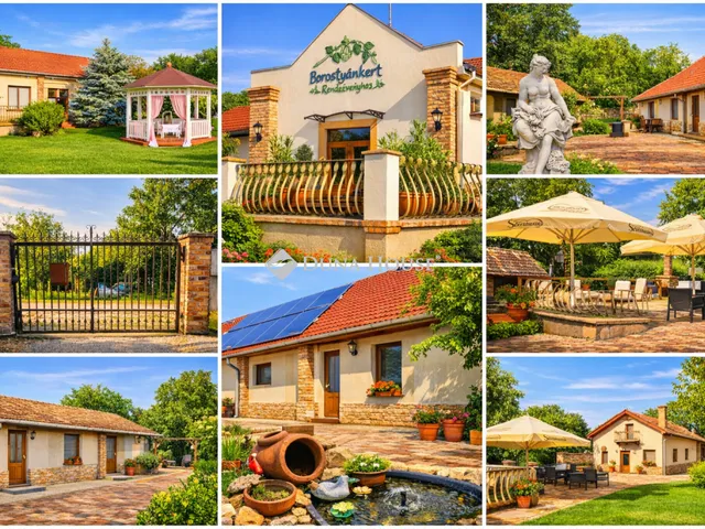 Eladó kereskedelmi és ipari ingatlan Derekegyház 260 nm