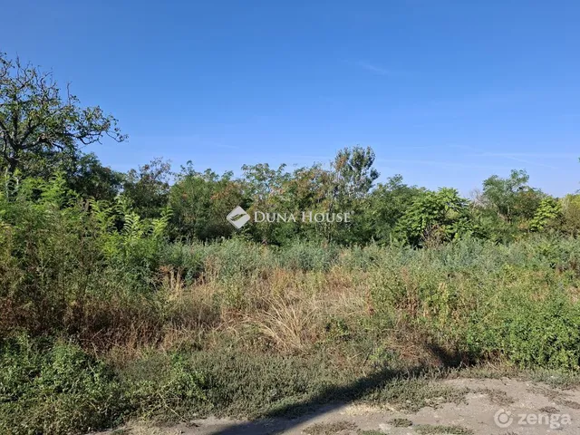 Eladó telek Szegvár 1396 nm