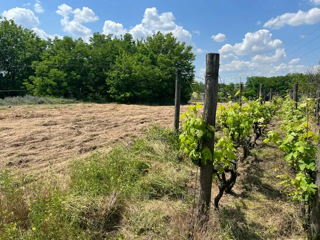 Eladó telek Kecskemét, Vacsihegy 2387 nm