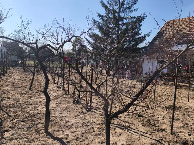 Eladó üdülő és hétvégi ház Szeged, Subasa 39 nm