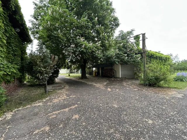 Eladó ház Sarkad 300 nm