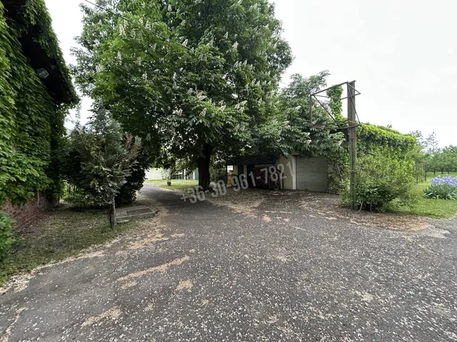 Eladó ház Sarkad, Cukorgyár 300 nm