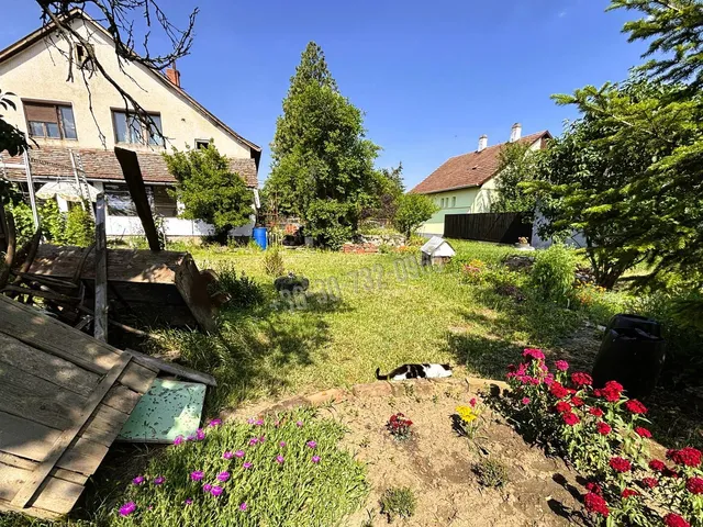 Eladó ház Gyomaendrőd, Gyoma 200 nm