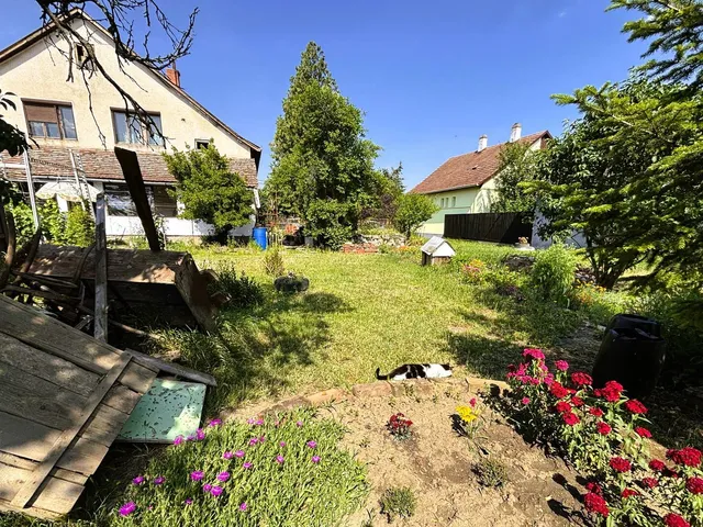Eladó ház Gyomaendrőd, Gyoma 200 nm