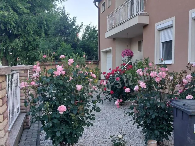 Eladó ház Békéscsaba 180 nm