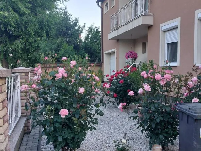 Eladó ház Békéscsaba 180 nm