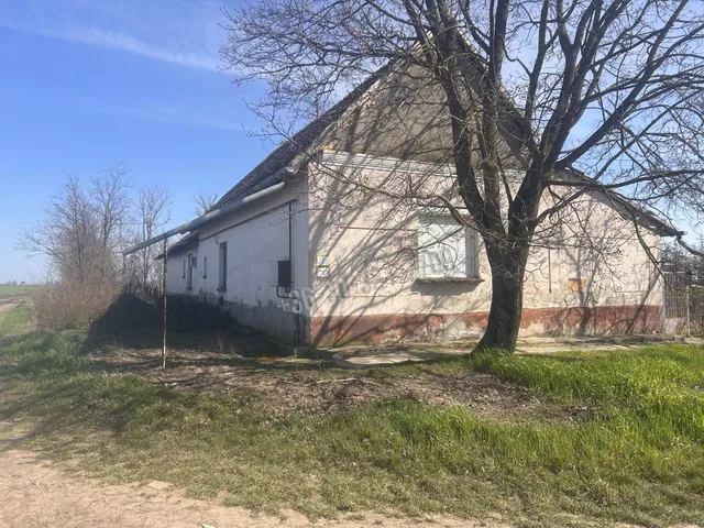 Eladó ház Dombegyház 2462 nm