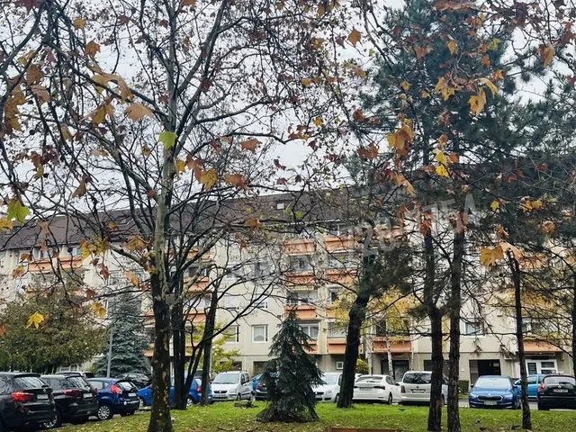 Eladó lakás Budapest XIV. kerület, Alsórákos 53 nm