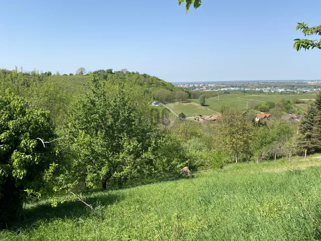Eladó telek Zalaegerszeg, Bozsokihegy 1234 nm
