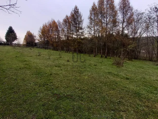 Eladó telek Zalaegerszeg, Botfa 12387 nm