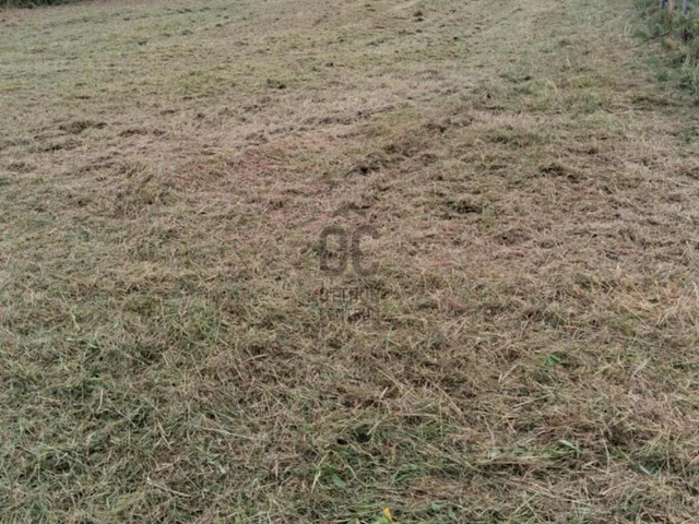 Eladó telek Kustánszeg 2692 nm