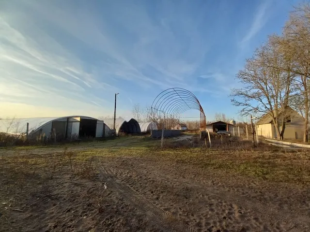 Eladó mezőgazdasági ingatlan Kiskunmajsa 2770 nm