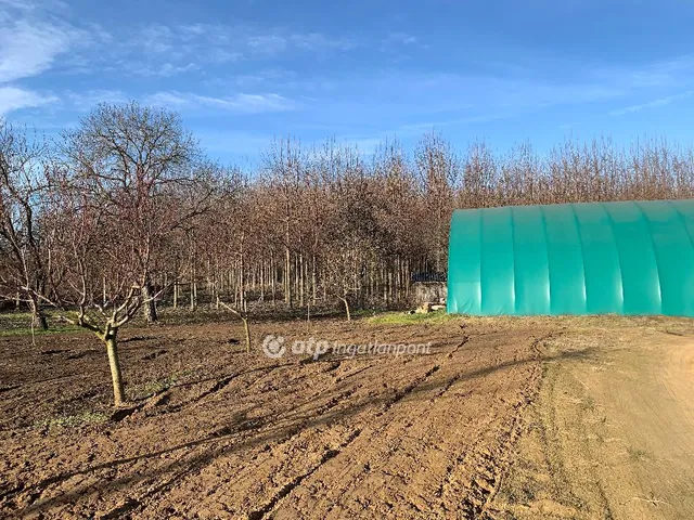 Eladó ház Nyíregyháza, Felsősima 60 nm