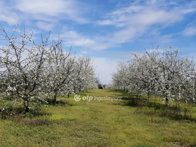 Eladó telek Nyíregyháza, Sóstóhegy 3930 nm