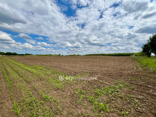 Eladó telek Nyíregyháza, Kertváros 25000 nm