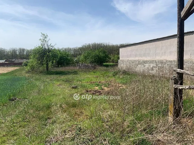 Eladó mezőgazdasági ingatlan Érpatak 59 nm