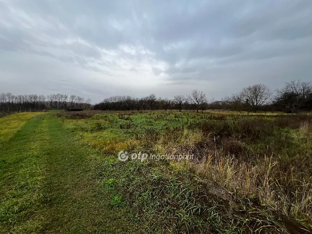 Eladó telek Nyíregyháza, Felsőpázsit 2792 nm