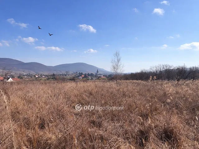 Eladó ház Erdőbénye 81 nm