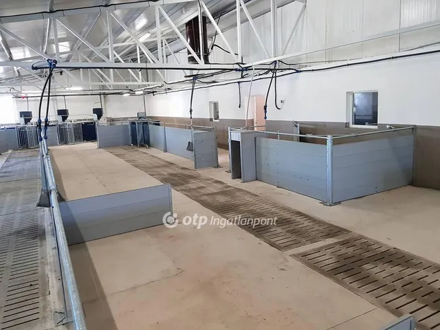 Eladó kereskedelmi és ipari ingatlan Hajdúdorog 3104 nm
