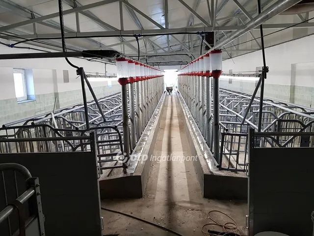 Eladó kereskedelmi és ipari ingatlan Hajdúdorog 3104 nm