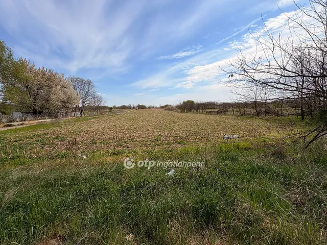 Eladó telek Nyíregyháza, Felsőpázsit 5555 nm
