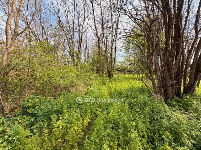 Eladó telek Nyíregyháza, Felsőpázsit 7963 nm