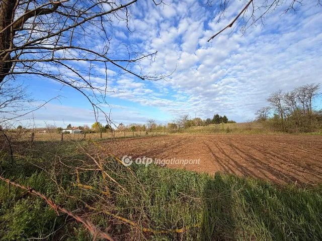 Eladó telek Nyíregyháza, Felsőpázsit 3038 nm