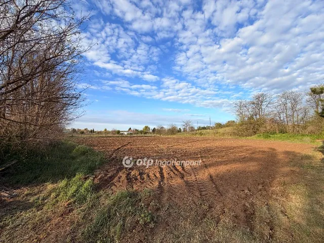 Eladó telek Nyíregyháza, Felsőpázsit 3038 nm