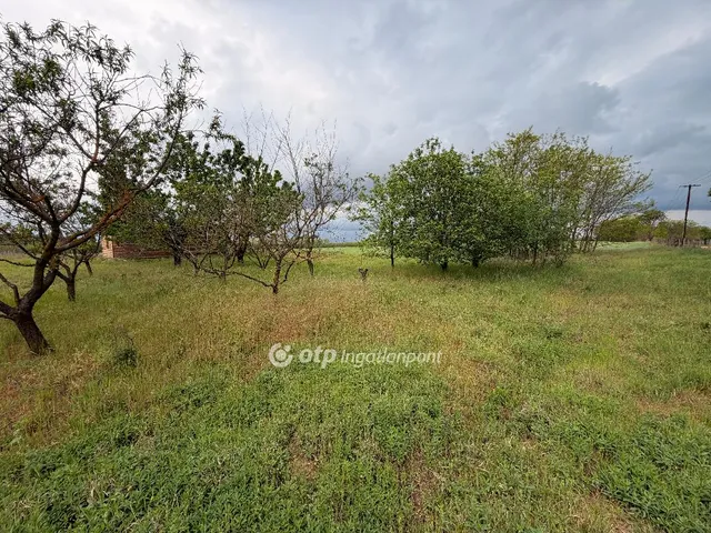 Eladó telek Nyíregyháza, Nagyszállás 262114 nm