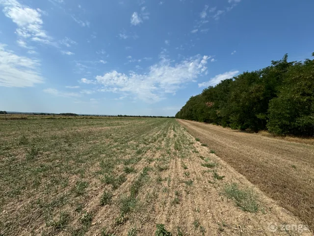 Eladó mezőgazdasági ingatlan Hegykő 18019 nm