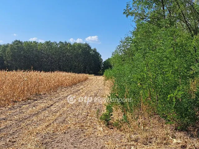 Eladó mezőgazdasági ingatlan Tiszaalpár 24457 nm