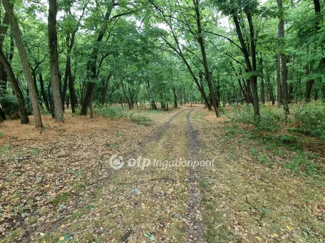 Eladó üdülő és hétvégi ház Csemő 91 nm